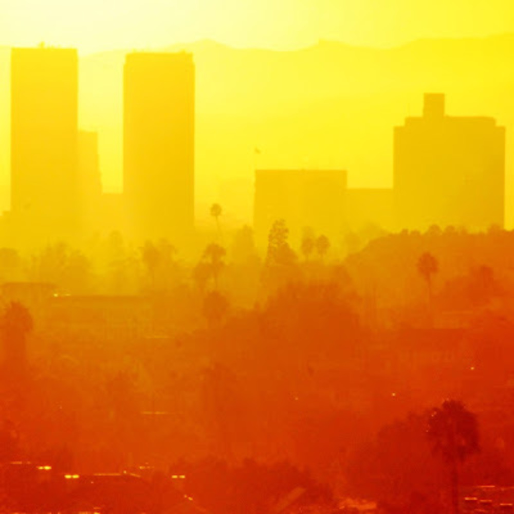 Meet your Posher, Kenneth